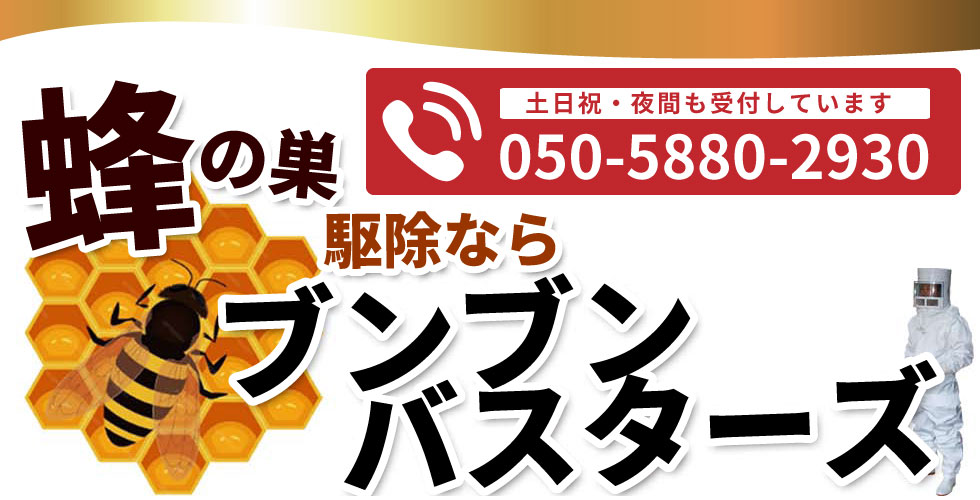 蜂の巣駆除